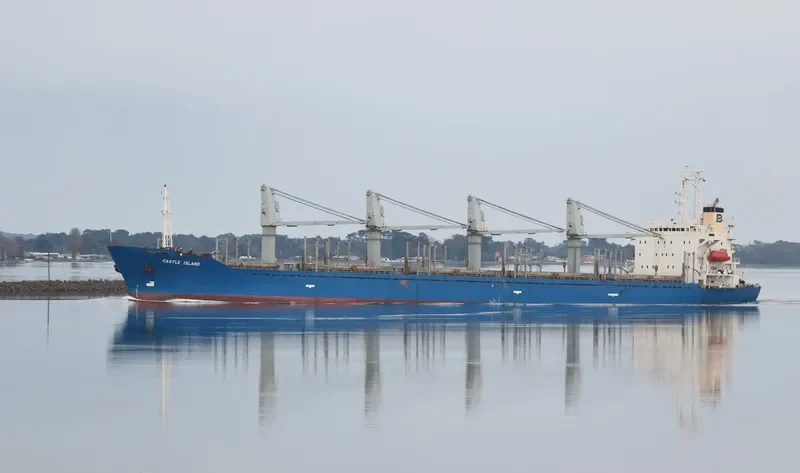 HARMONY OCEAN Bulk Carrier IMO 9159749