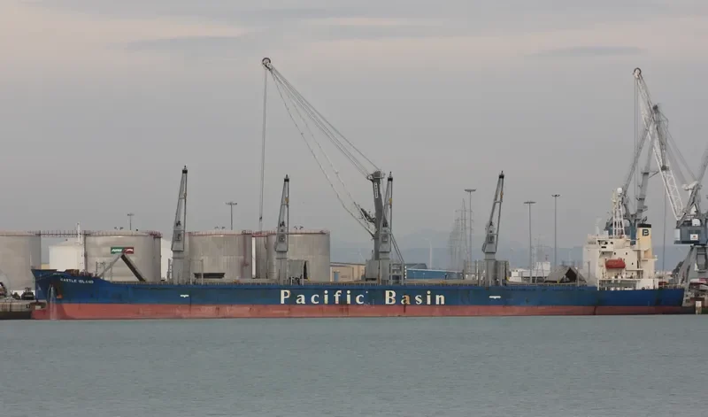 HARMONY OCEAN Bulk Carrier IMO 9159749 photo 2