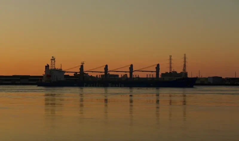 HARMONY OCEAN Bulk Carrier IMO 9159749 photo 4