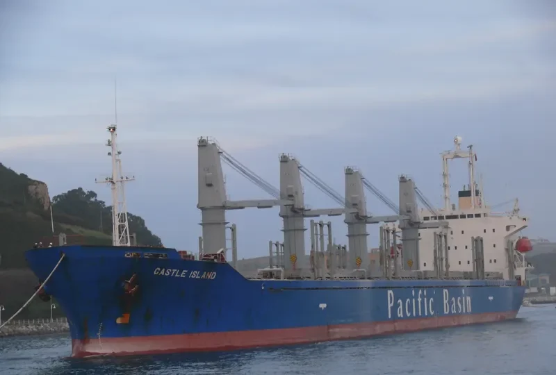 HARMONY OCEAN Bulk Carrier IMO 9159749 photo 5