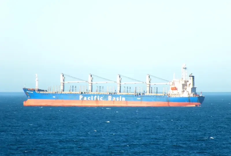 HARMONY OCEAN Bulk Carrier IMO 9159749 photo 6