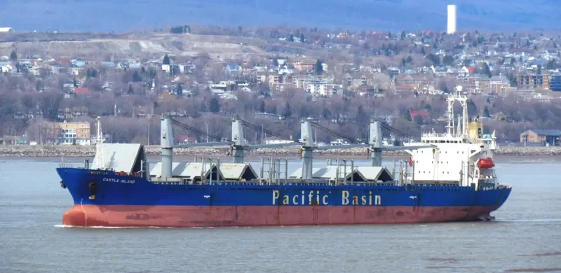 HARMONY OCEAN Bulk Carrier IMO 9159749 photo 7