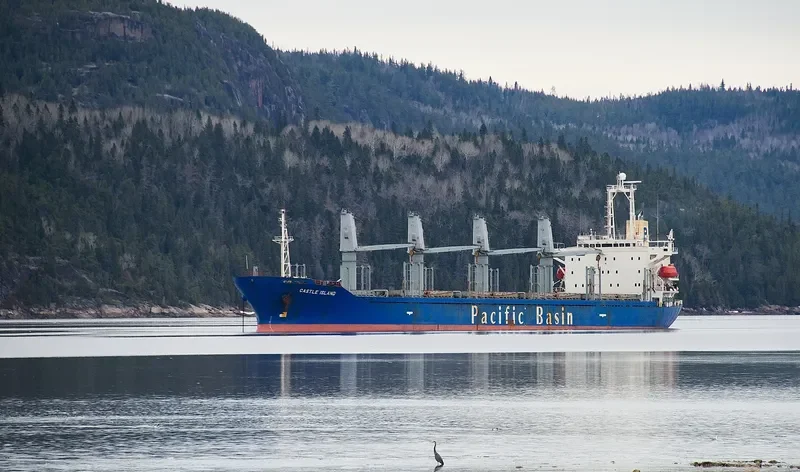HARMONY OCEAN Bulk Carrier IMO 9159749 photo 8