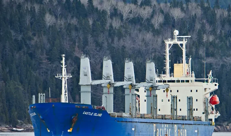 HARMONY OCEAN Bulk Carrier IMO 9159749 photo 10