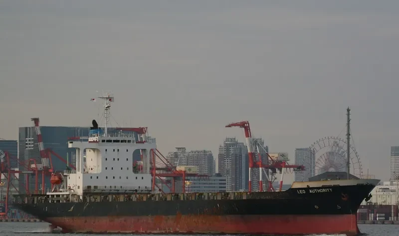 XIN OU 3 Container Ship IMO 9159878