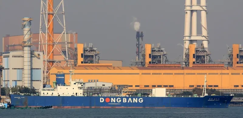 DONGBANG GLORY General Cargo IMO 9159969 photo 3
