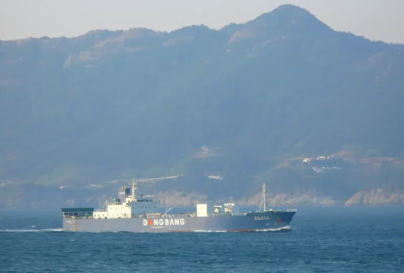 DONGBANG GLORY General Cargo IMO 9159969 photo 8