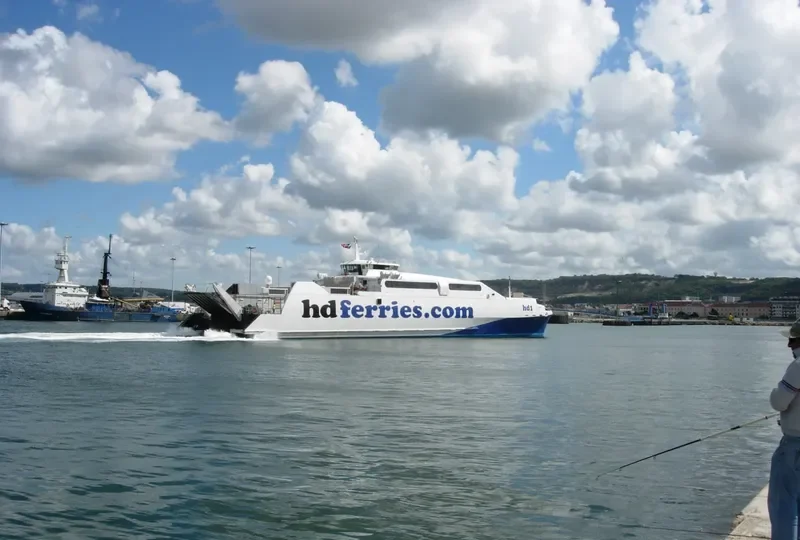 HARMONY FLOWER Passenger Ship IMO 9160114 photo 2