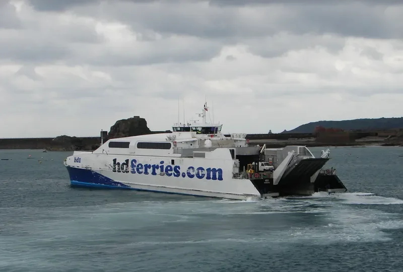 HARMONY FLOWER Passenger Ship IMO 9160114 photo 3
