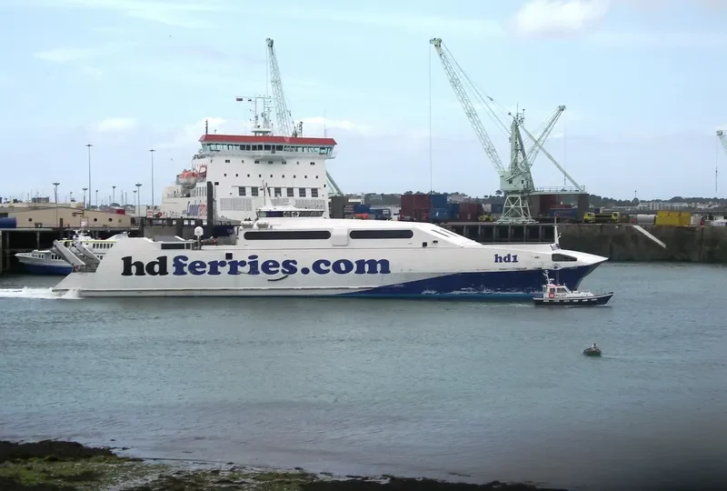 HARMONY FLOWER Passenger Ship IMO 9160114 photo 8