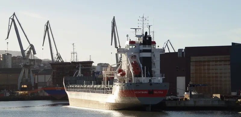 VECHTBORG Container Ship IMO 9160334 photo 7