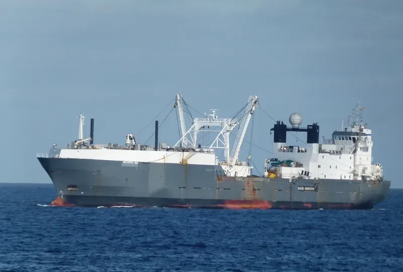 ANTARCTIC SEA General Cargo IMO 9160358 photo 9