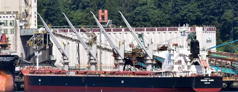 FLOURISH OCEAN General Cargo IMO 9160384