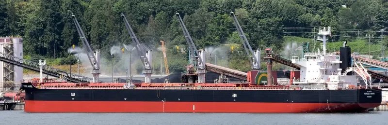 FLOURISH OCEAN General Cargo IMO 9160384 photo 5
