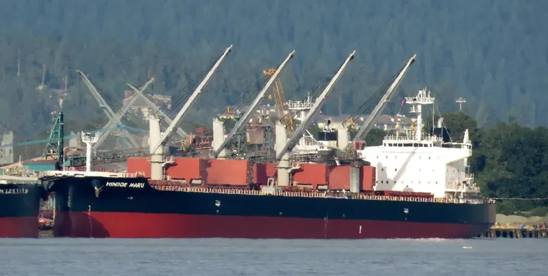 FLOURISH OCEAN General Cargo IMO 9160384 photo 6