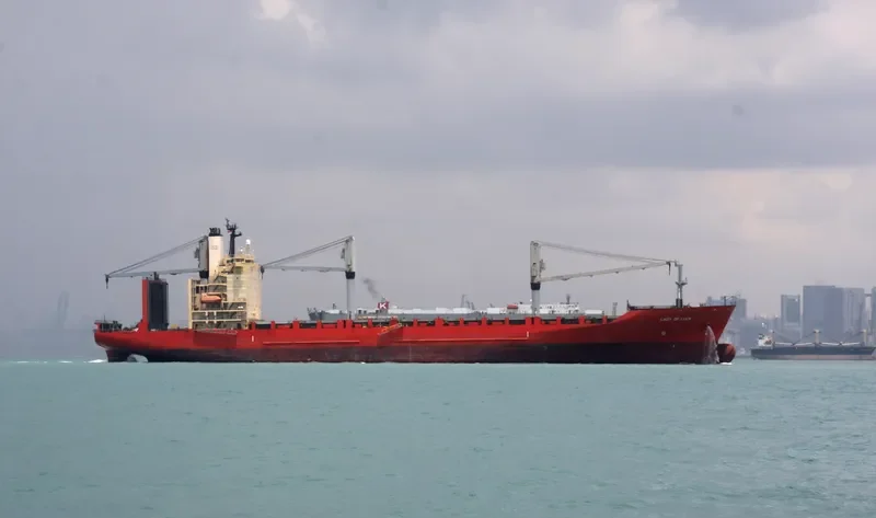 LADY OF LUCK Container Ship IMO 9160401 photo 8