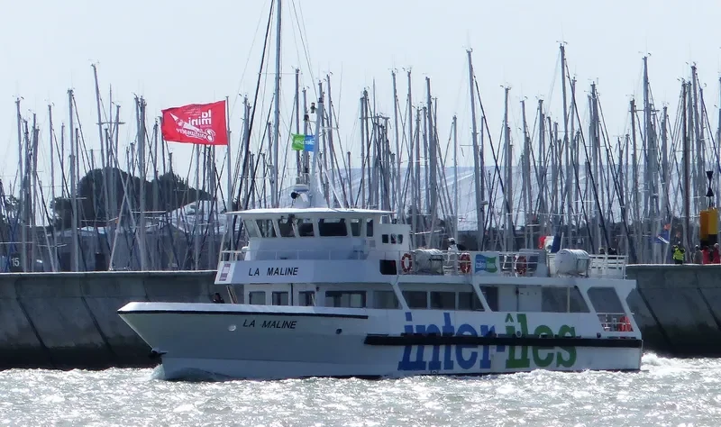 LA MALINE Passenger Ship IMO 9160578 photo 9
