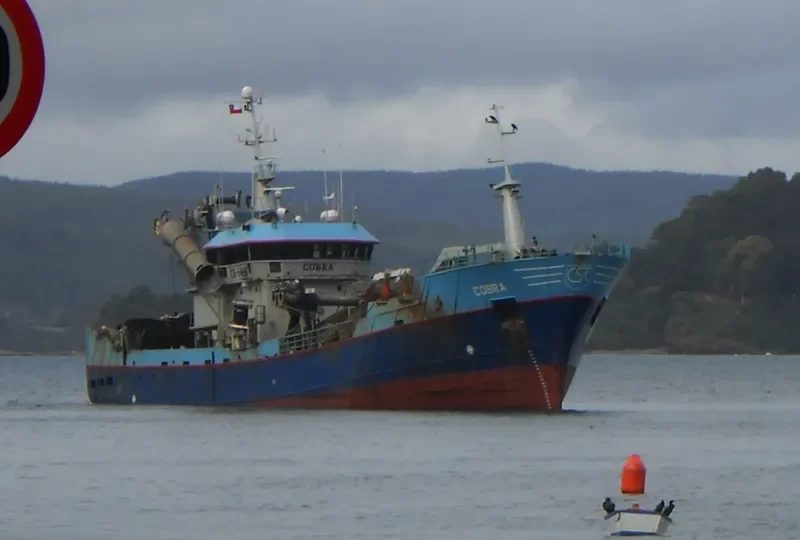 COBRA General Cargo IMO 9160695 photo 2