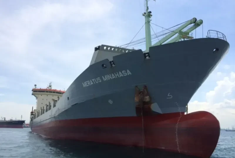 MSC DHANTIA Container Ship IMO 9160982 photo 3