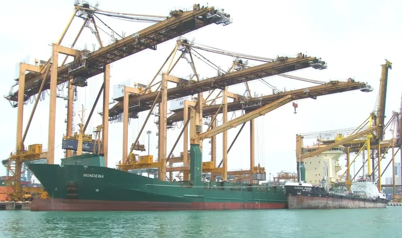 MSC DHANTIA Container Ship IMO 9160982 photo 6