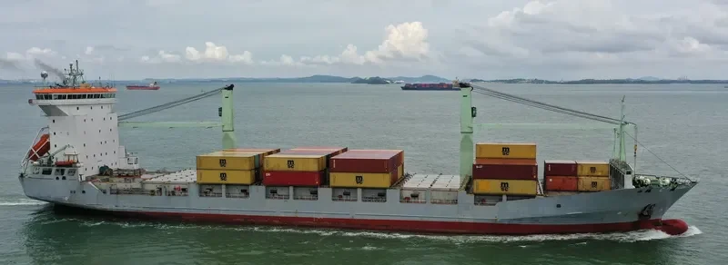 MSC DHANTIA Container Ship IMO 9160982 photo 7