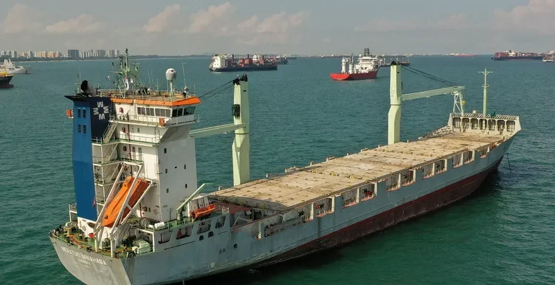 MSC DHANTIA Container Ship IMO 9160982 photo 10