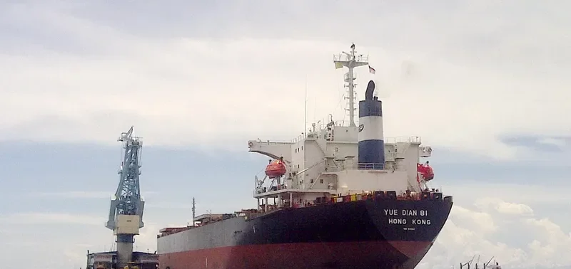 YUE DIAN 81 Bulk Carrier IMO 9161041