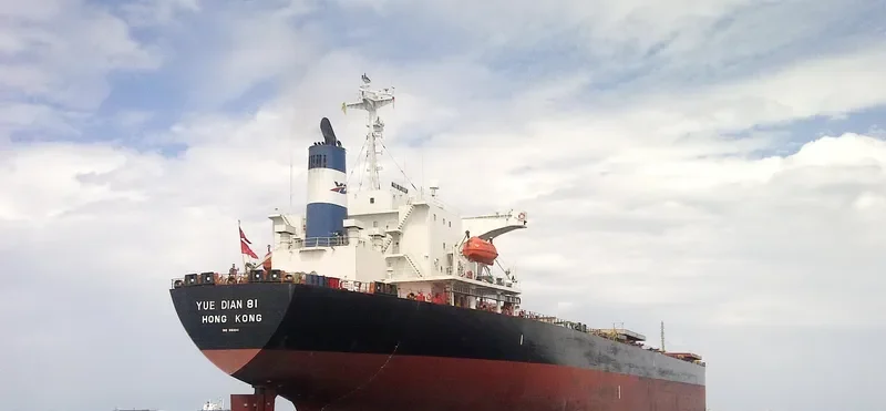 YUE DIAN 81 Bulk Carrier IMO 9161041 photo 5