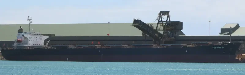YUE DIAN 81 Bulk Carrier IMO 9161041 photo 6
