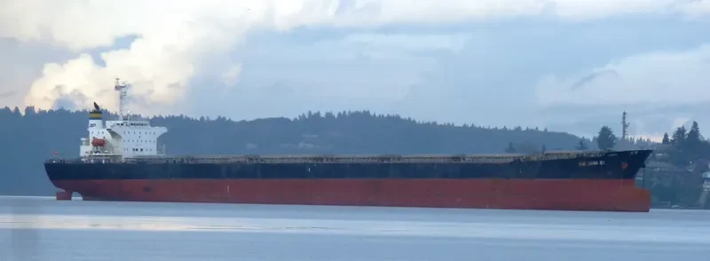 YUE DIAN 81 Bulk Carrier IMO 9161041 photo 9