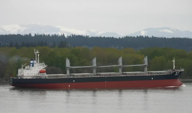 YIN PU Bulk Carrier IMO 9161053