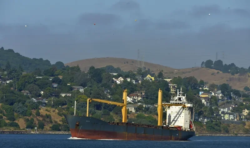 CHIAPAS STAR General Cargo IMO 9161168 photo 2