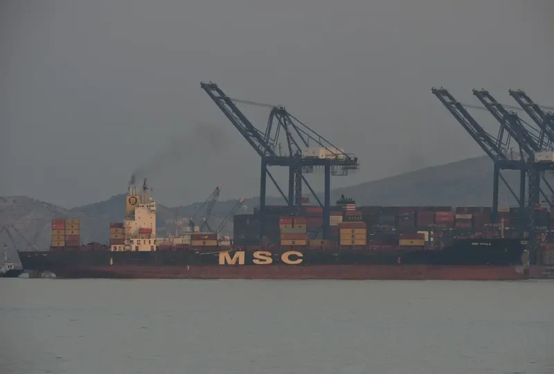 MSC PAOLA Container Ship IMO 9161297 photo 2