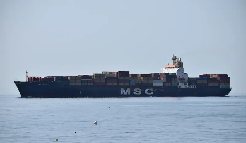 MSC PAOLA Container Ship IMO 9161297 photo 8