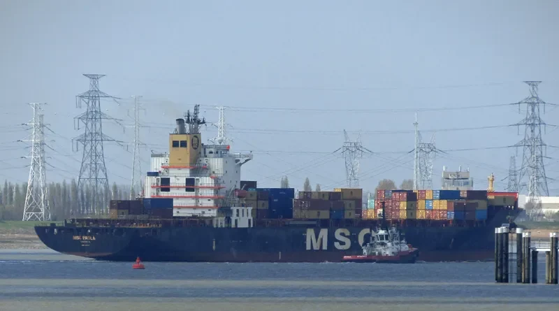 MSC PAOLA Container Ship IMO 9161297 photo 9