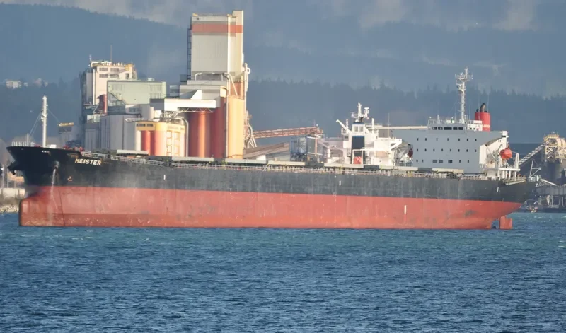 DE YUAN Bulk Carrier IMO 9161467 photo 4