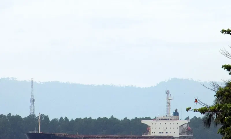 DE YUAN Bulk Carrier IMO 9161467 photo 6