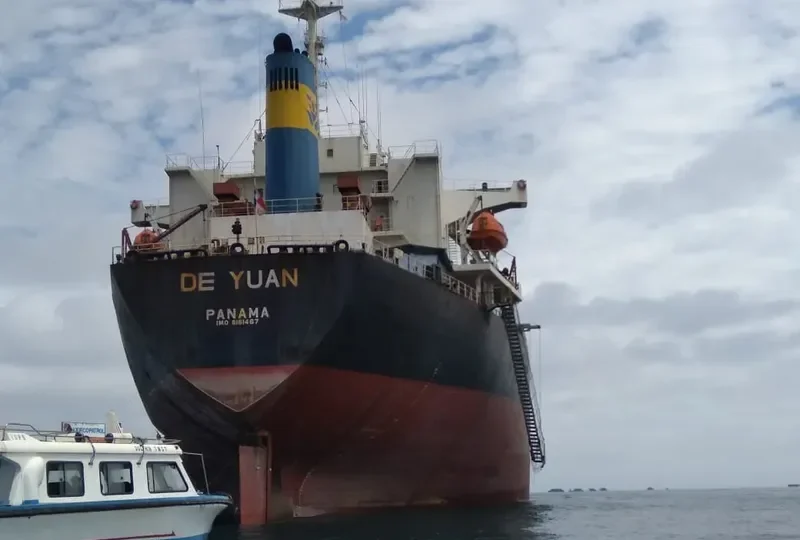 DE YUAN Bulk Carrier IMO 9161467 photo 8