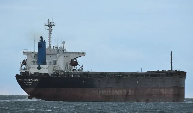 PANAMAX APPLAUSE Bulk Carrier IMO 9161479 photo 2