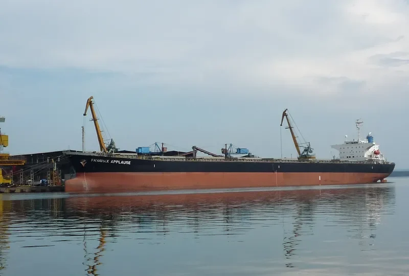 PANAMAX APPLAUSE Bulk Carrier IMO 9161479 photo 5