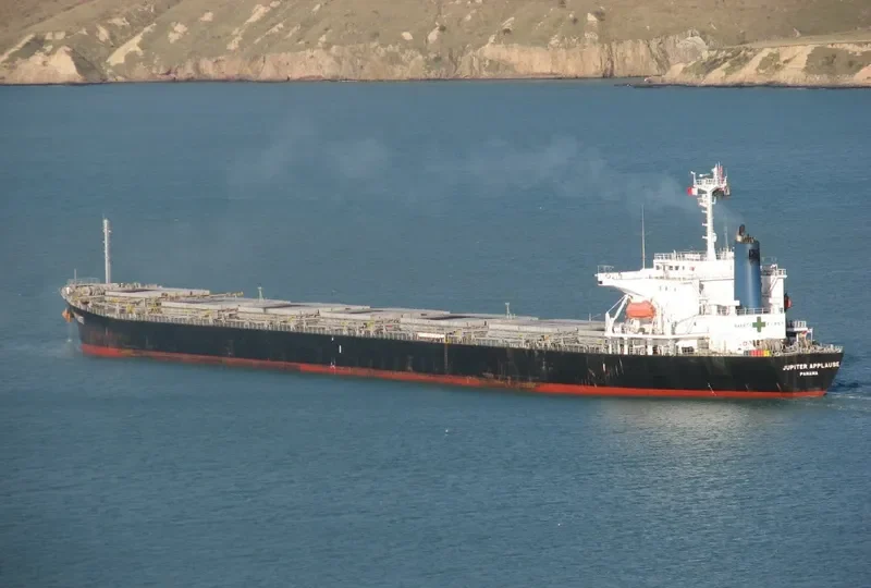 PANAMAX APPLAUSE Bulk Carrier IMO 9161479 photo 7