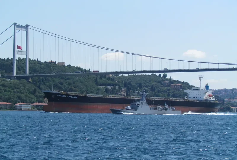 PANAMAX APPLAUSE Bulk Carrier IMO 9161479 photo 9