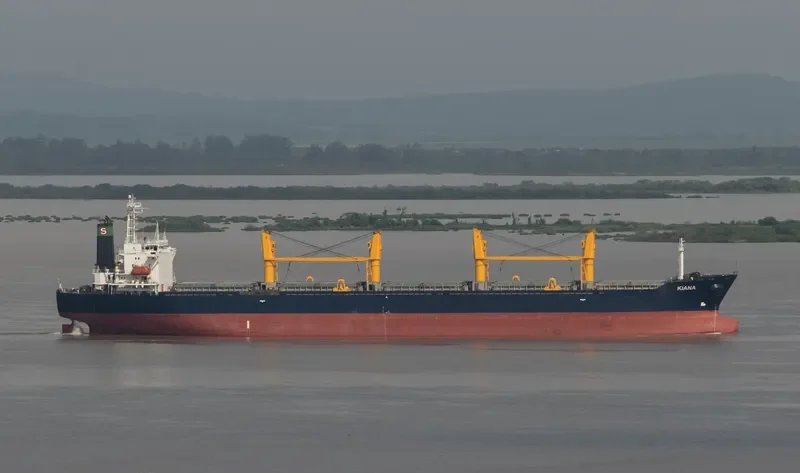 KIANA Bulk Carrier IMO 9161481 photo 3
