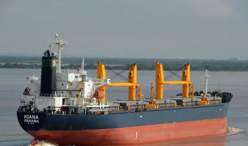 KIANA Bulk Carrier IMO 9161481 photo 4