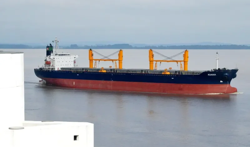 KIANA Bulk Carrier IMO 9161481 photo 5