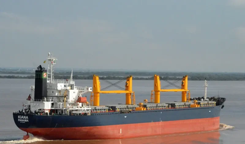 KIANA Bulk Carrier IMO 9161481 photo 7
