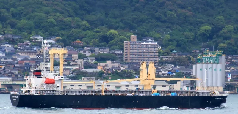 SWADAYA LESTARI I General Cargo IMO 9161522