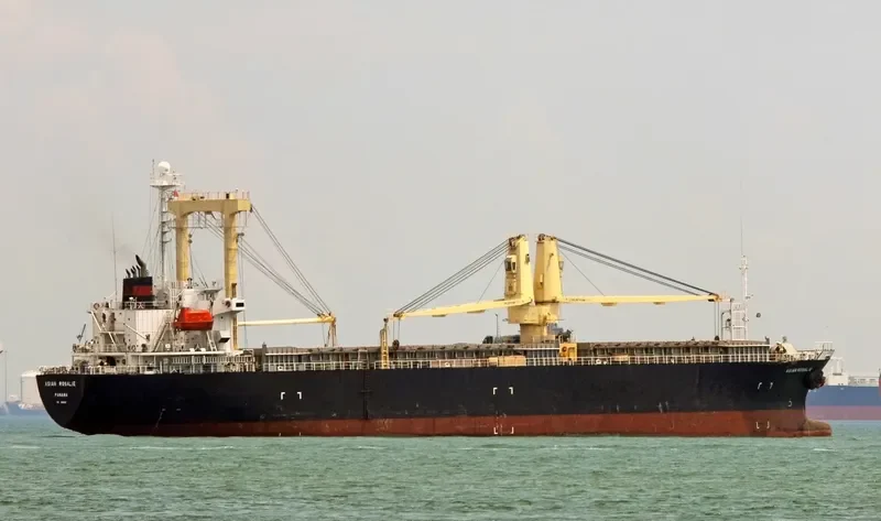 SWADAYA LESTARI I General Cargo IMO 9161522 photo 5