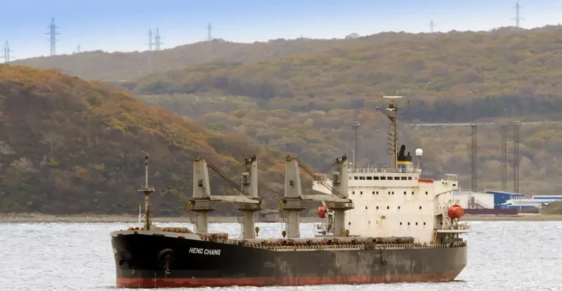 YING LI Bulk Carrier IMO 9161596 photo 3