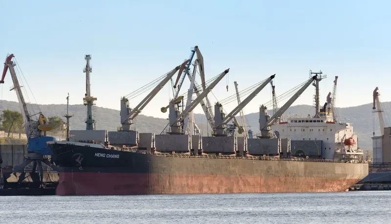 YING LI Bulk Carrier IMO 9161596 photo 4